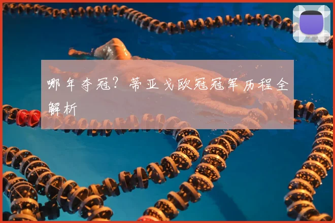 哪年夺冠？蒂亚戈欧冠冠军历程全解析