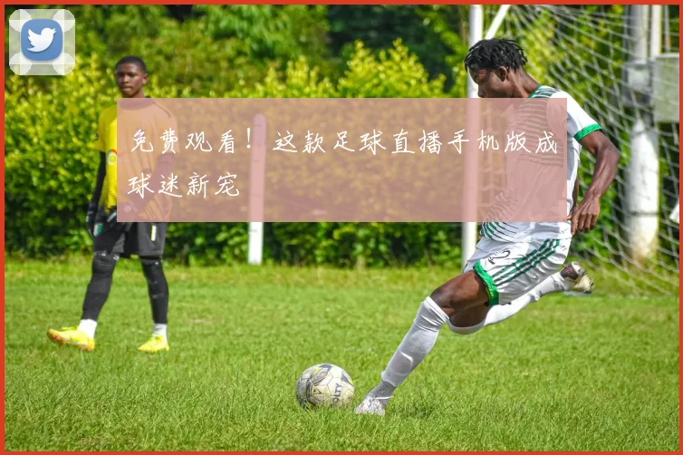免费观看！这款足球直播手机版成球迷新宠