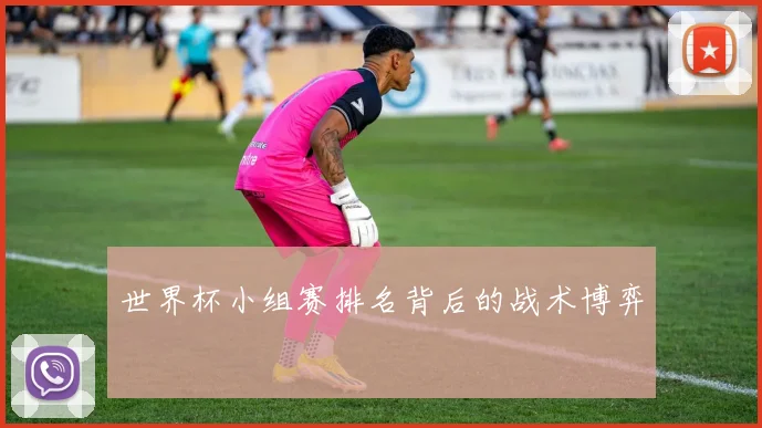 世界杯小组赛排名背后的战术博弈
