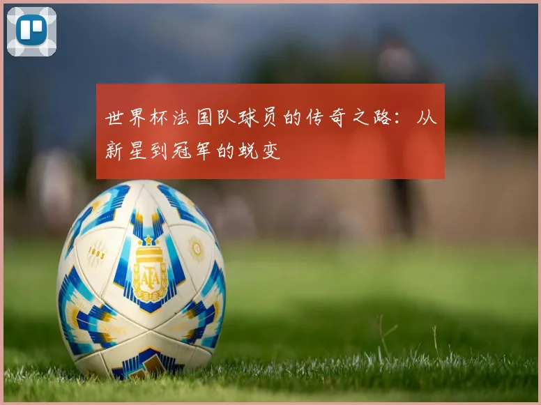 世界杯法国队球员的传奇之路：从新星到冠军的蜕变