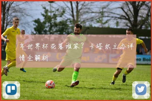 年世界杯花落谁家？卡塔尔主办详情全解析