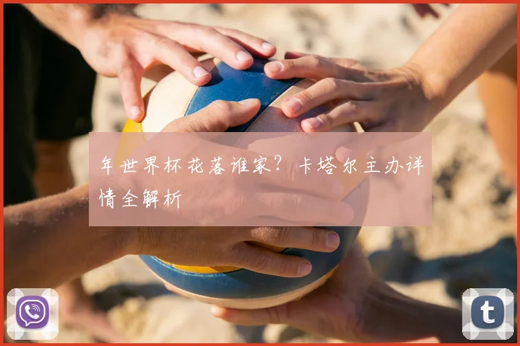 年世界杯花落谁家？卡塔尔主办详情全解析